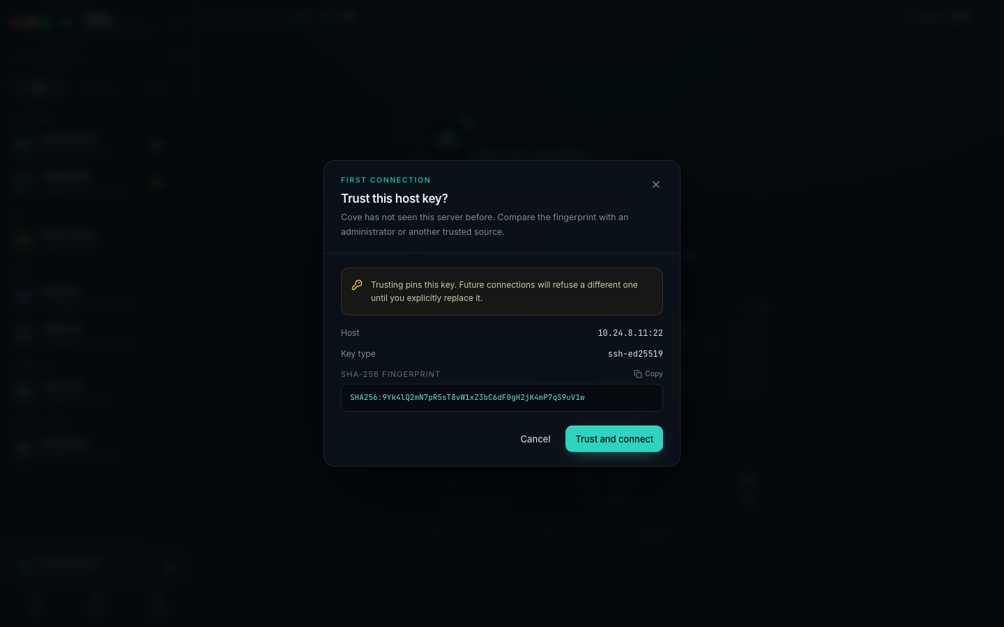 First-connection prompt asking to trust an unknown host key