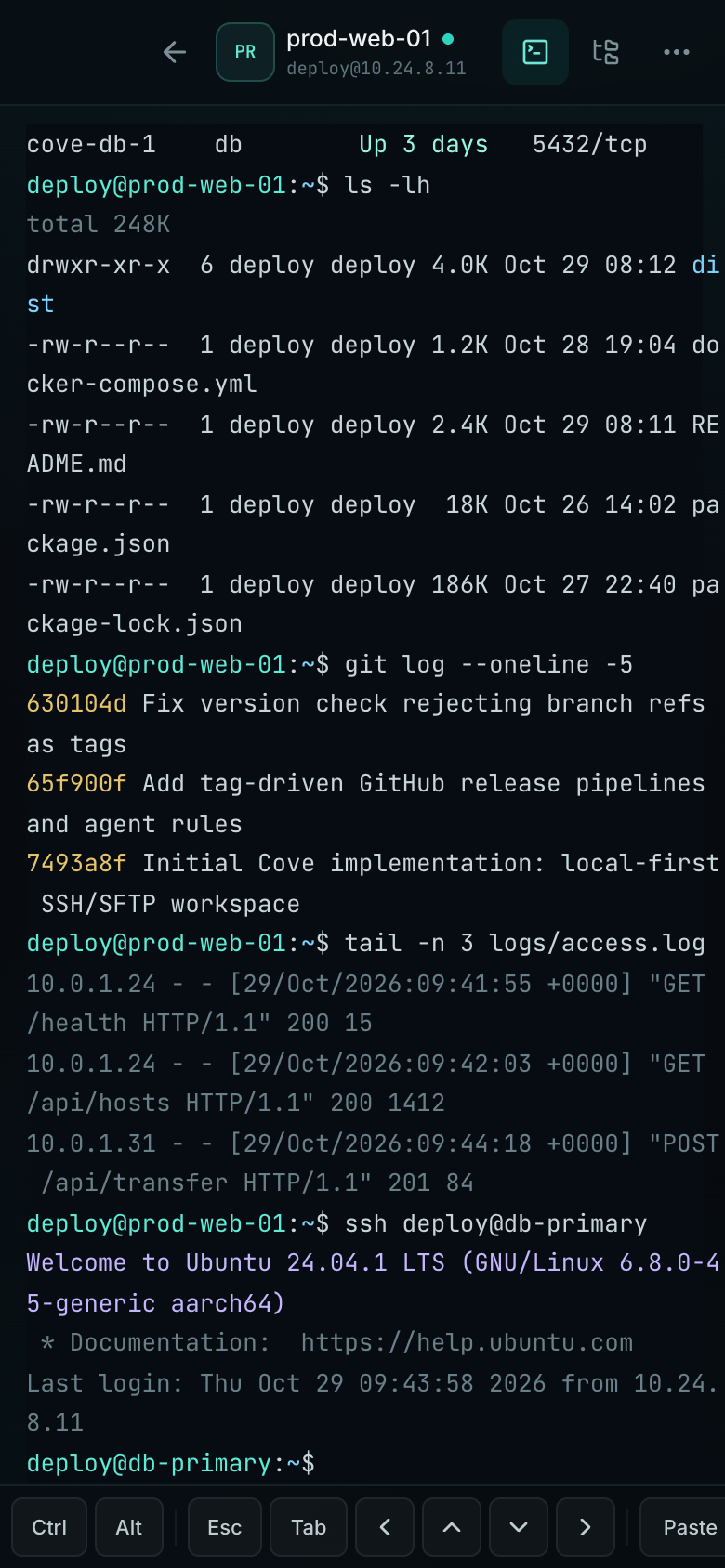 Full-screen terminal with the mobile accessory bar